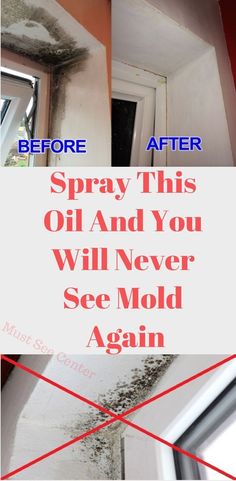 a sign that says spray this oil and you will never see mold again