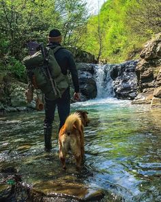 a man and his dog are wading in the water near a waterfall with a backpack on their back