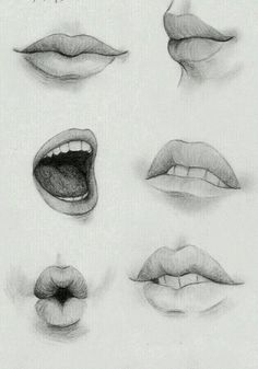 the different lips are drawn in pencil on paper, and each has their own mouth open