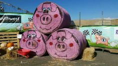 hay rolls with pigs drawn on them are stacked in front of other hay bales