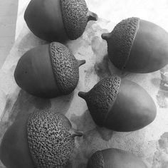 four acorns are shown in black and white