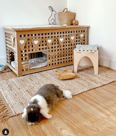 a brown and white dog laying on top of a wooden floor next to a rug