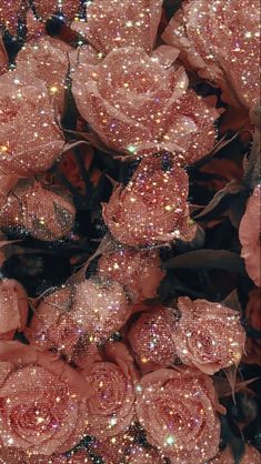 many pink roses with sequins on them