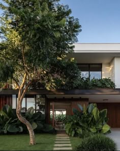 the house is surrounded by greenery and trees