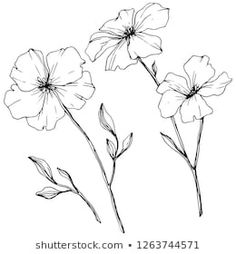 three flowers are shown in black and white, with one flower on the left side