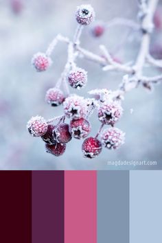 the color scheme is red, purple, and grey with berries on it's branches