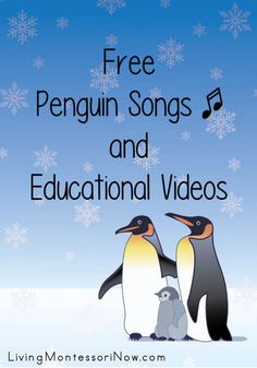 two penguins with the words free penguin songs and educational videos