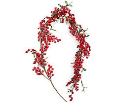 red berries are arranged in the shape of a wreath