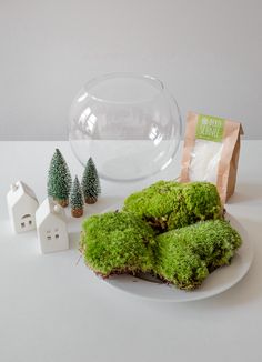 moss covered cookies sitting on top of a white plate next to a glass bowl and small trees