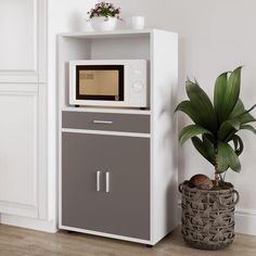 a microwave oven sitting on top of a cabinet next to a potted plant