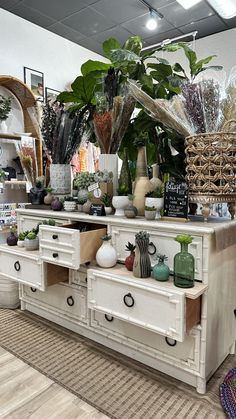 an assortment of plants and vases on display in a store