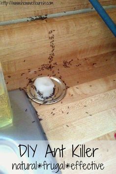 a wooden table topped with a cup filled with liquid next to a bottle of oil