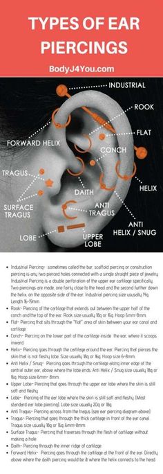 the types of ear piercings are shown in this brochure, which includes information about