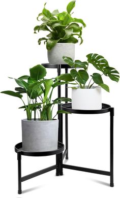 three tiered plant stands with plants on each side and one holding a potted plant