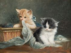 two kittens sitting next to each other on a table near a basket and cloth