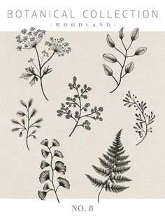 the botanical collection vol 8 is shown in black and white, with different plants on it