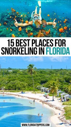 the best places for snorkeling in florida