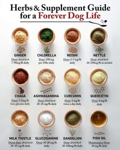 an image of herbs and supplement guide for a forever dog life poster on a white background