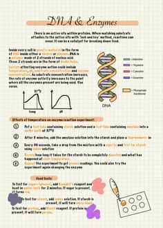 an info sheet with some information about different types of things in the world and how they are