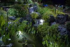 a small waterfall in the middle of a garden at night