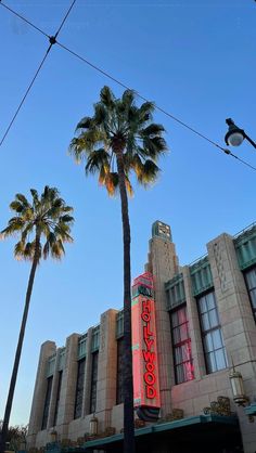 a palm tree in front of a large building with neon lights on it's side