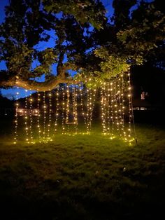 an outdoor area with lights strung from the trees