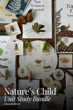 the nature's child unit study bundle is displayed on a table with cards and magnets