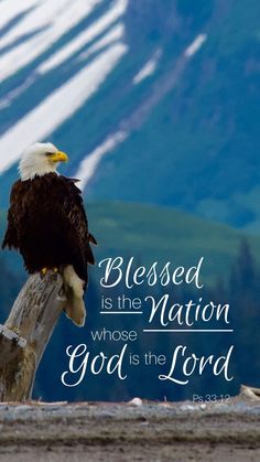 an eagle sitting on top of a tree branch with a bible verse written below it