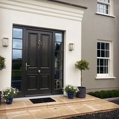 two potted plants are on the steps outside of a house that is painted black