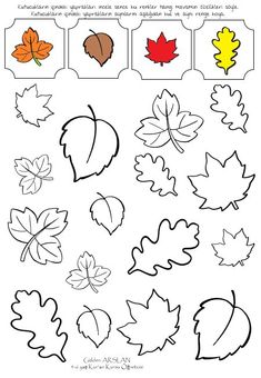 Dikkat çalışması Preschool Autumn, Fall Leaf Template, Thanksgiving Crafts Preschool, Fall Preschool Activities, Fall Arts And Crafts, Montessori Toddler Activities, Preschool Activities Toddler, Fall Preschool, Preschool Art Activities