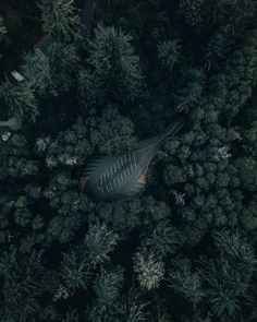 an aerial view of a bird's - eye view of a forest with lots of trees