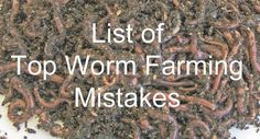 a pile of worms sitting on top of a white table next to the words list of top worm farming mistakes