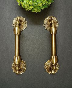 two golden handles on a black surface next to a green plant and potted plant