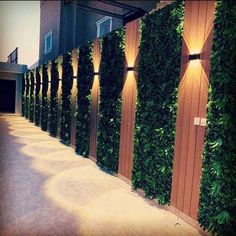 a wall with plants growing on it next to a building