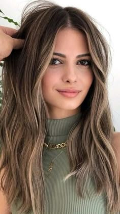 Minimal Blonde Highlights On Brown Hair, Brunette Lived In Color, Brown Hairlights, Hair Color Ideas For Brunettes Straight, Brown Hair With Minimal Highlights, Summer Hair Trends 2023 Brunette, Blonde To Dark Brown Before And After, Accent Highlights Brunette, Cool Balayage Brunettes