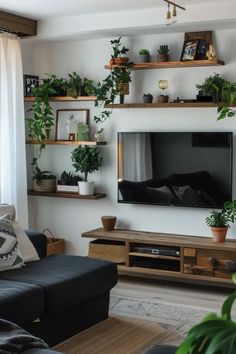 a living room filled with furniture and lots of plants on top of the shelves in front of a flat screen tv