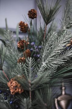 pine cones and berries are in a vase