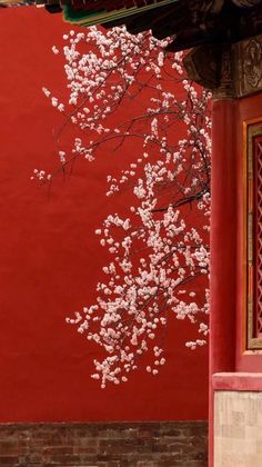 a red wall with white flowers on it and a tree in the foreground,