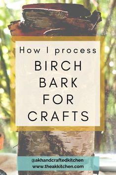 the words how i process birch bark for crafts are in front of a tree trunk