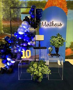 there are balloons and plants on display in the store's exhibit area, with blue lighting