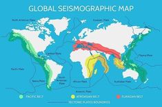 the world map with different types of sea animals