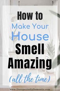 the words how to make your house smell amazing all the time