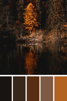 the color palette is brown and orange