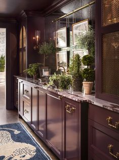 a kitchen with purple cabinets and potted plants on the counter top, along with a blue rug