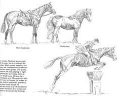 two drawings of horses standing next to each other in front of a person on a horse