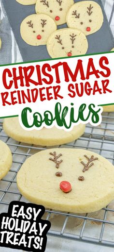 Christmas Reindeer Sugar Cookies (easy Holiday Treats) | Easy Recipes Reindeer Sugar Cookies, Rudolph Cookies, Coconut Oil Chocolate, Easy Holiday Treats, Cookies Light, Reindeer Cookies, Best Sugar Cookie Recipe, Cookies Easy