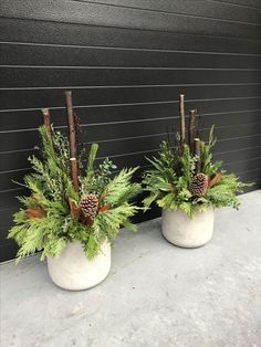 two white pots with plants and pine cones