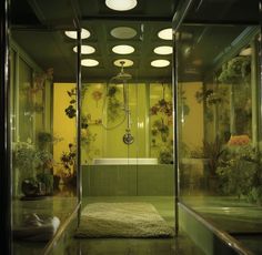 a bathroom with green walls and plants in the shower area, along with a rug on the floor