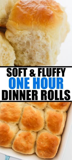 soft and fluffy one hour dinner rolls are the perfect appetizer for any special occasion