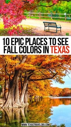 10 Epic Places to See Fall Colors in Texas Best Fall Trips In The Us, Fall Vacations In The United States, Fall Vacation Ideas U.s. States, Road Trip Texas, Fall Places, Fall Travel Destinations, Fall In Texas, Fall Destinations, Vacations In The Us